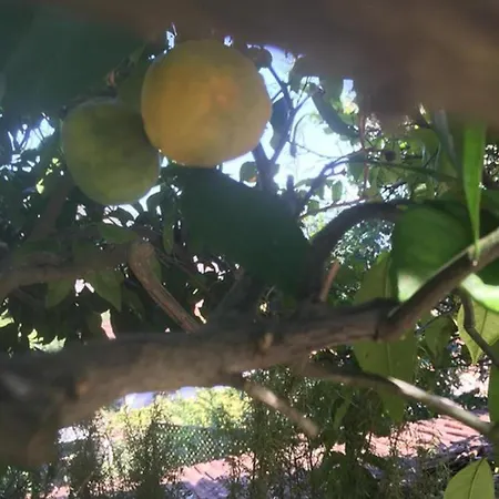 בית נופש Charming Secluded 2-Bed Cottage In Kayakoy For 4 Kayakoy